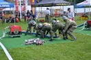 2017_05_27_Reichenau_15