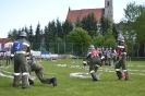 2017_05_27_Reichenau_18