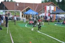 2017_05_27_Reichenau_29