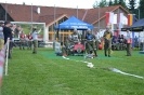 2017_05_27_Reichenau_30