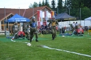 2017_05_27_Reichenau_32