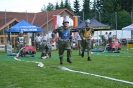 2017_05_27_Reichenau_33