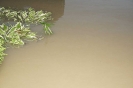 2013_06_04_Hochwasser_13