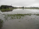 2013_06_04_Hochwasser_91