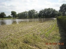 2013_06_06_Hochwasser_14
