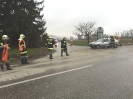 2015_01_23_Verkehrsunfall_8