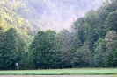 2022_05_15_Waldbrand (pictureshooting)_3