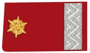 1923 Mitglied des Bezirksverbands Ausschusses