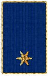DG BI d.F. blau 1