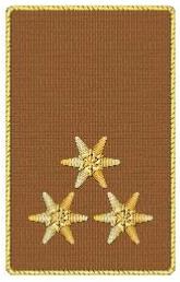 DG HBI d.F. braun 1