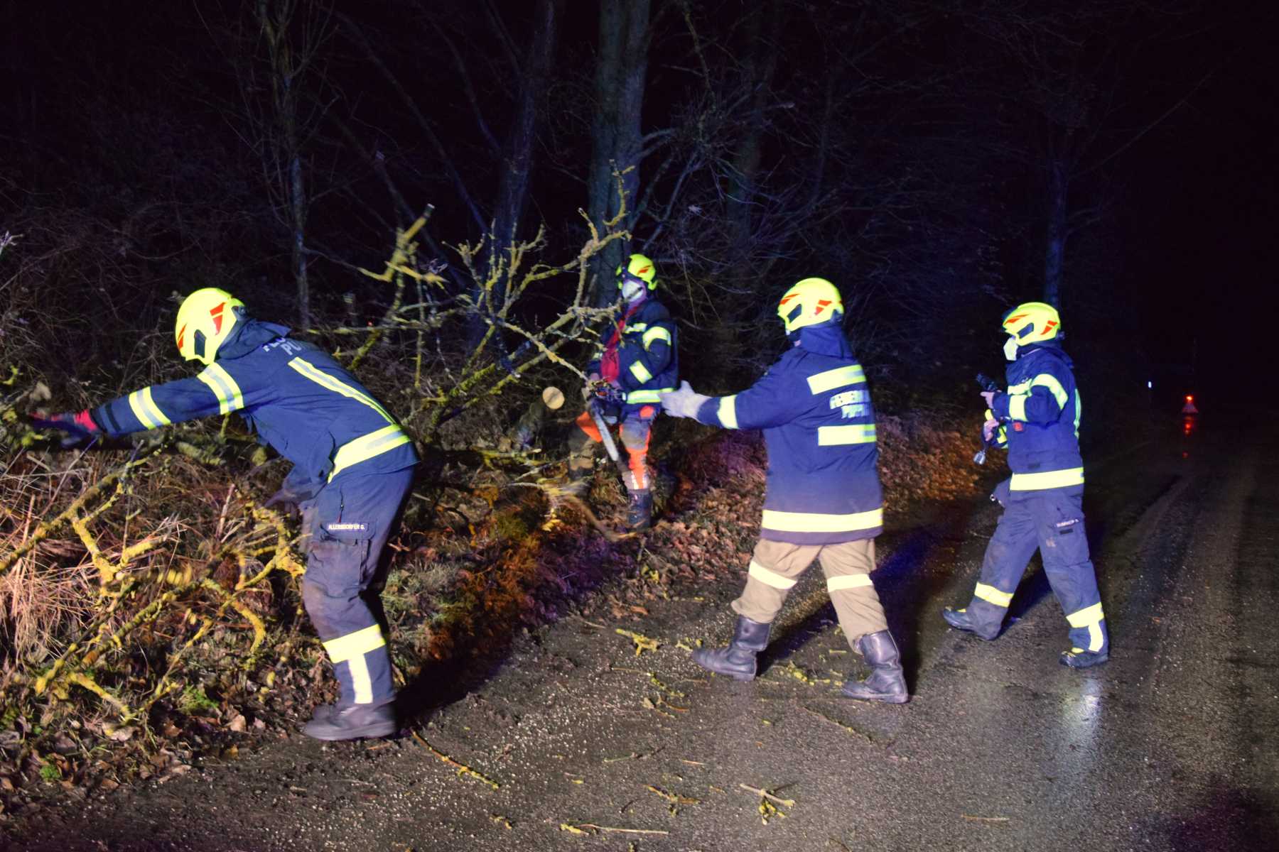 2021 12 17 Holzschlägerung (1)