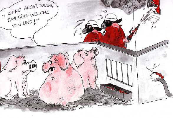 Schweinestall.jpg