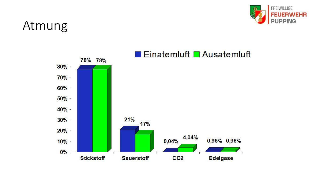 2025 03 18 AS Schulung (3)